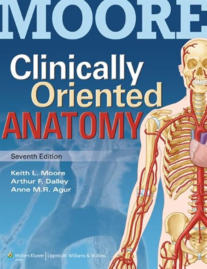 CLINICAL ORIENTED ANATOMY K L MOORE COLOR SEVENth